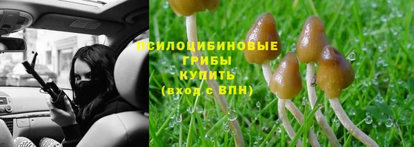 амф Алексин